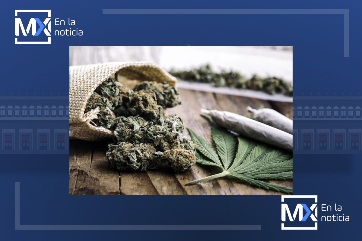 Corte avala despenalización de uso lúdico y recreativo de la marihuana