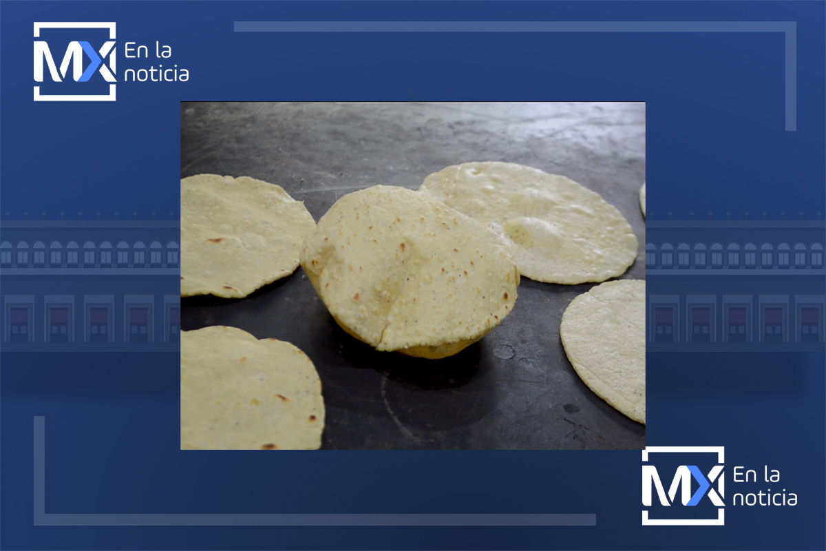 Da a conocer el presidente de la CNC que el consumo de tortilla por persona en Querétaro es alto