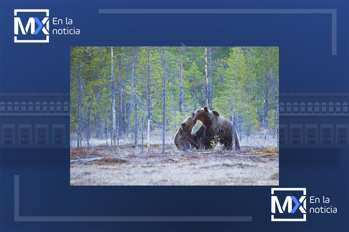 7 de julio: Día Mundial de la Conservación de los Suelos