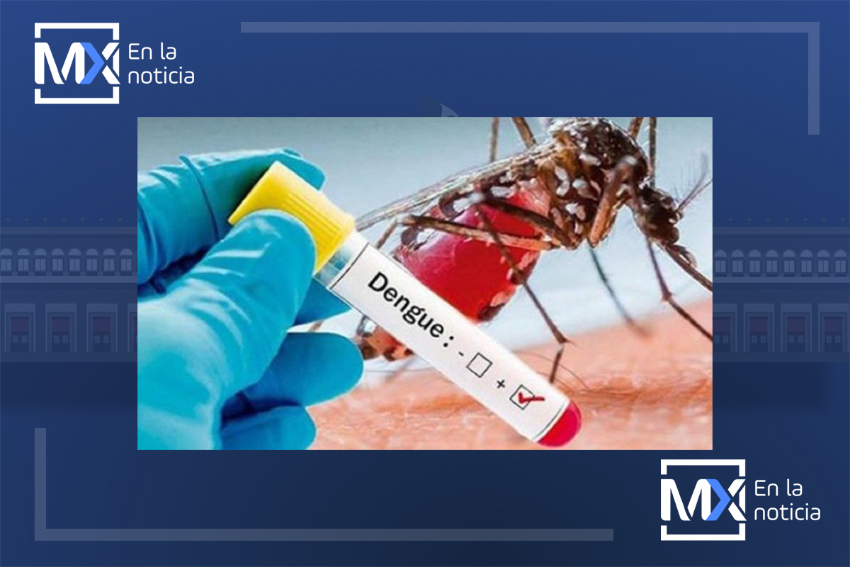 Sin casos registrados de dengue durante estos ocho meses en Hidalgo