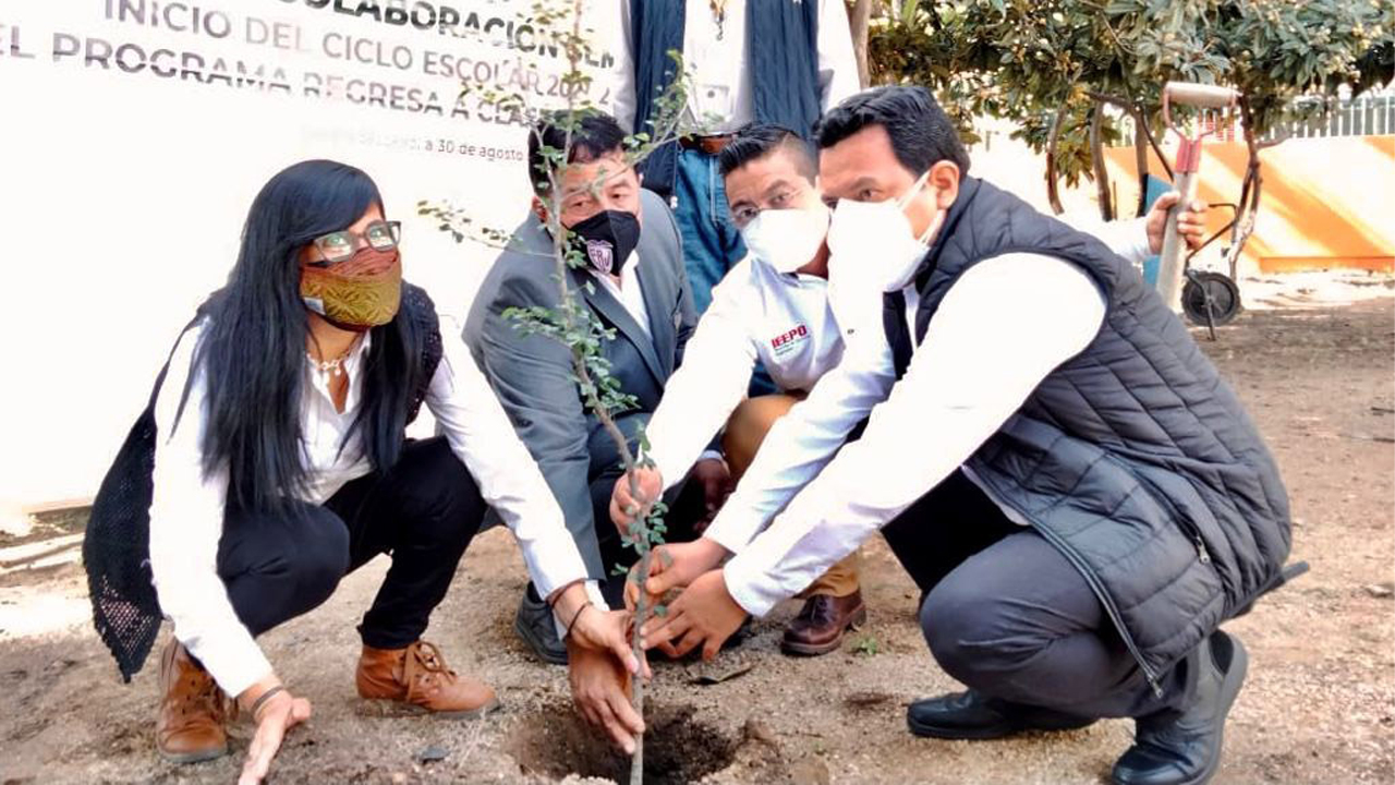 Fomenta IEEPO en estudiantes de nivel básico amor y respeto por la naturaleza