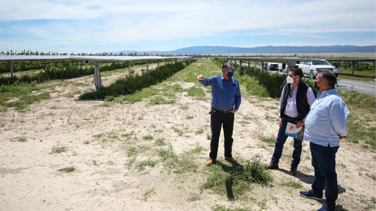 Inaugura Gobernador de Nuevo León planta fotovoltaica en sur del Estado