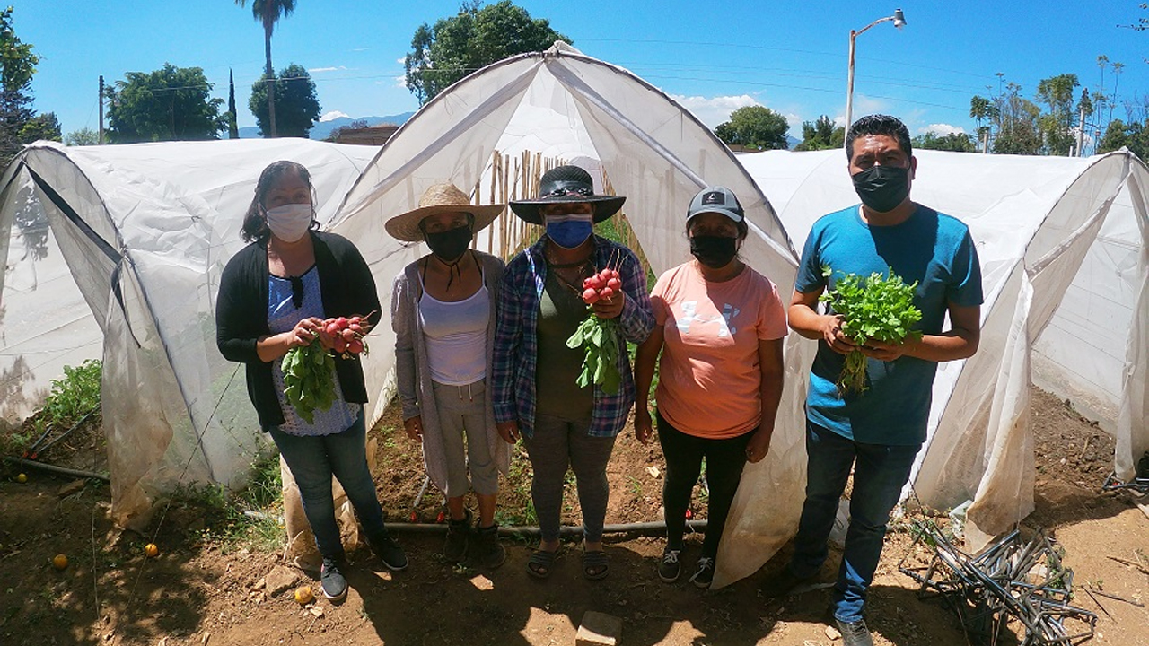 Contribuye Sedapa con la seguridad alimentaria de las y los oaxaqueños