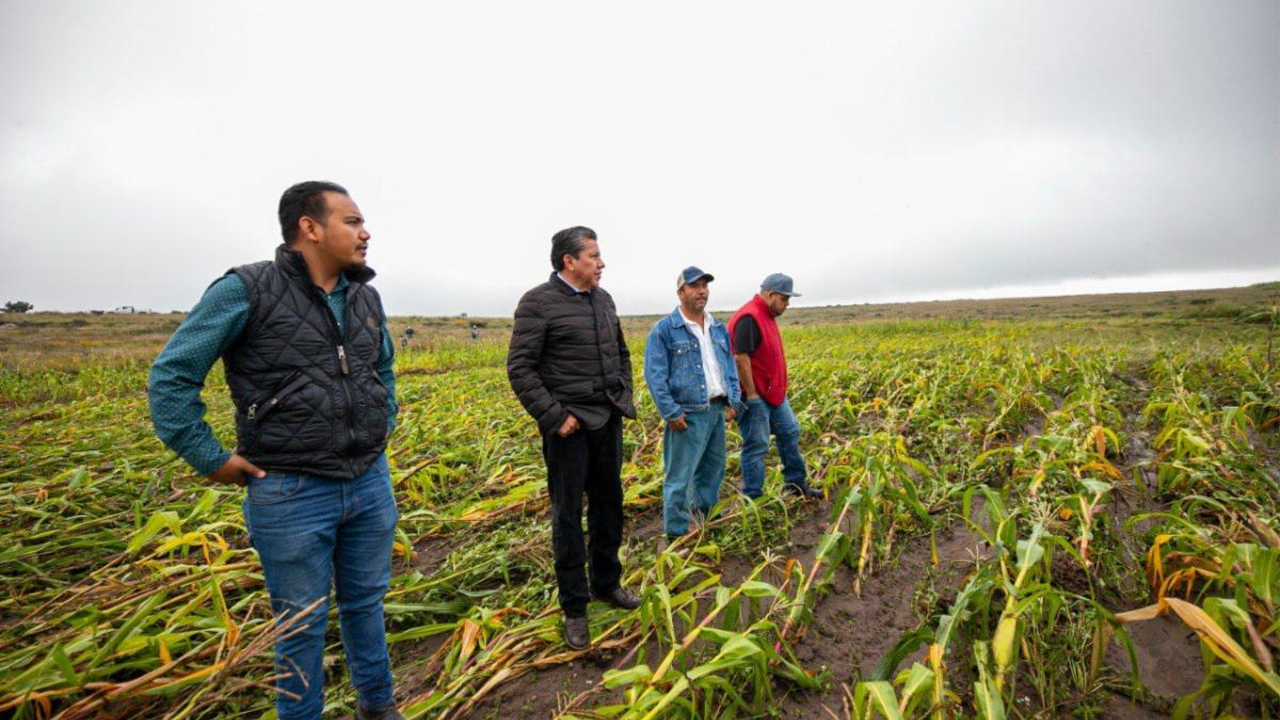 Logra David Monreal declaratoria de emergencia para Genaro Codina y Cuauhtémoc