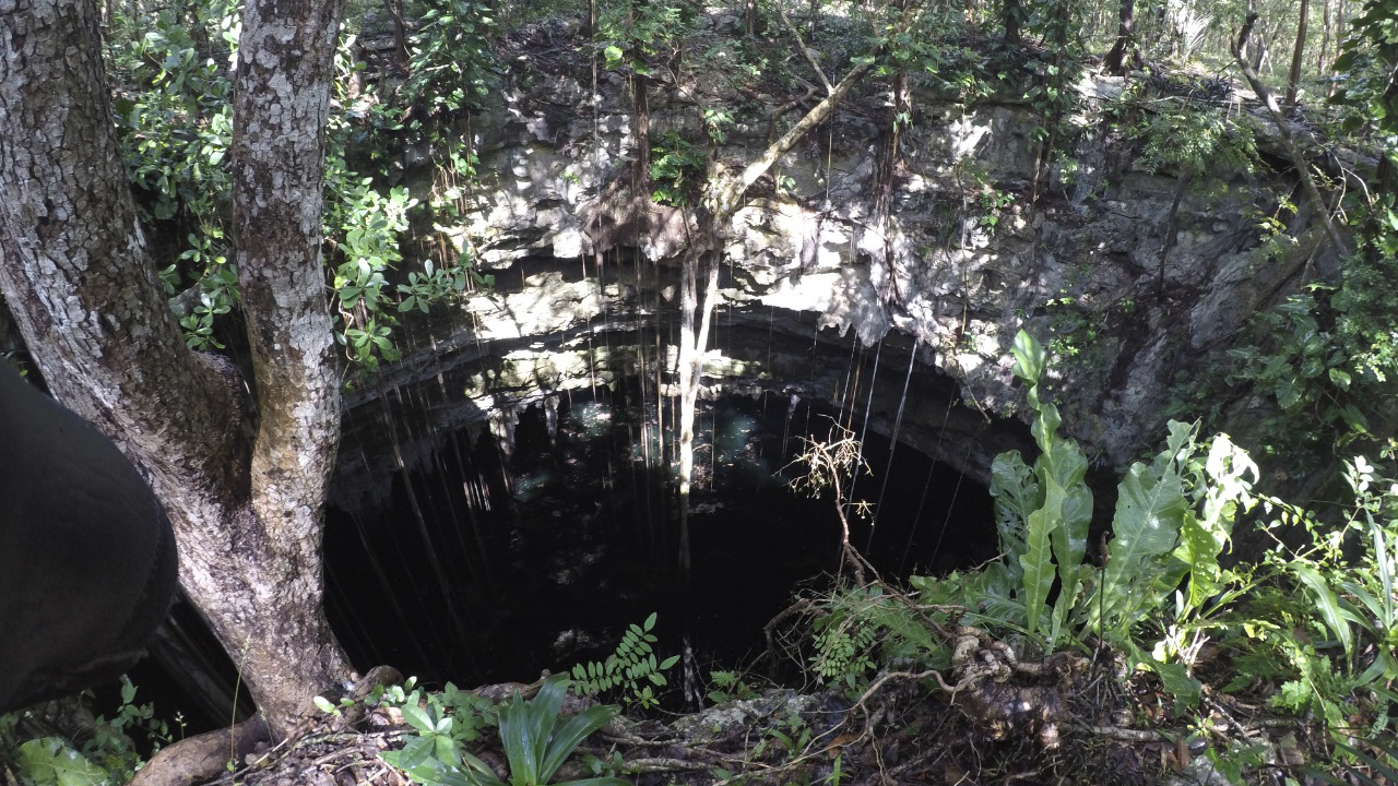 Arqueólogos localizan canoa prehispánica en un cenote durante proyecto del Tren Maya