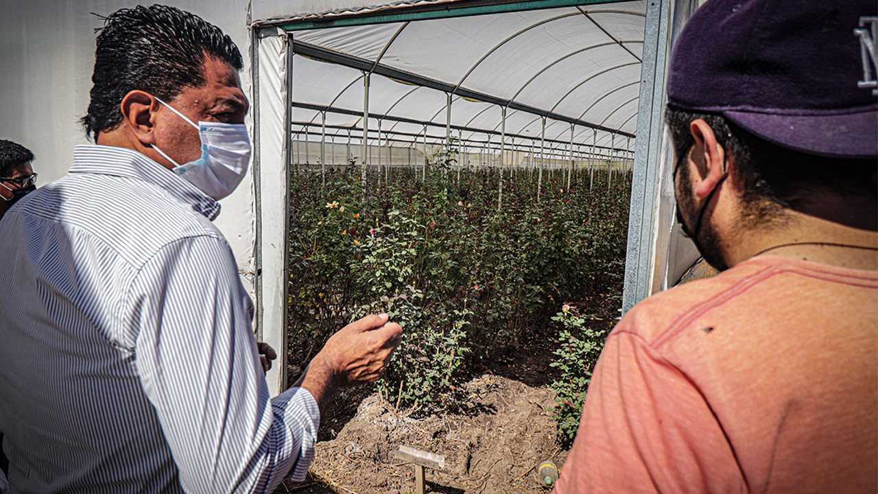 UTSJR estrecha lazos con productores de rosas de SJR