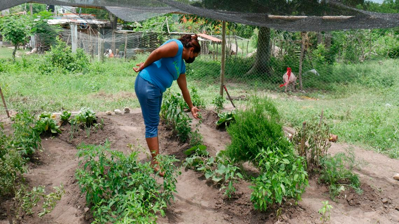 SEDESOL Priorizará 91 Municipios de Zonas Marginadas para Atenderlos con Obra Pública este 2022