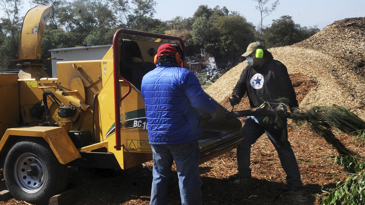 Reaprovecha UNAM residuos para producir composta y regenerar los suelos