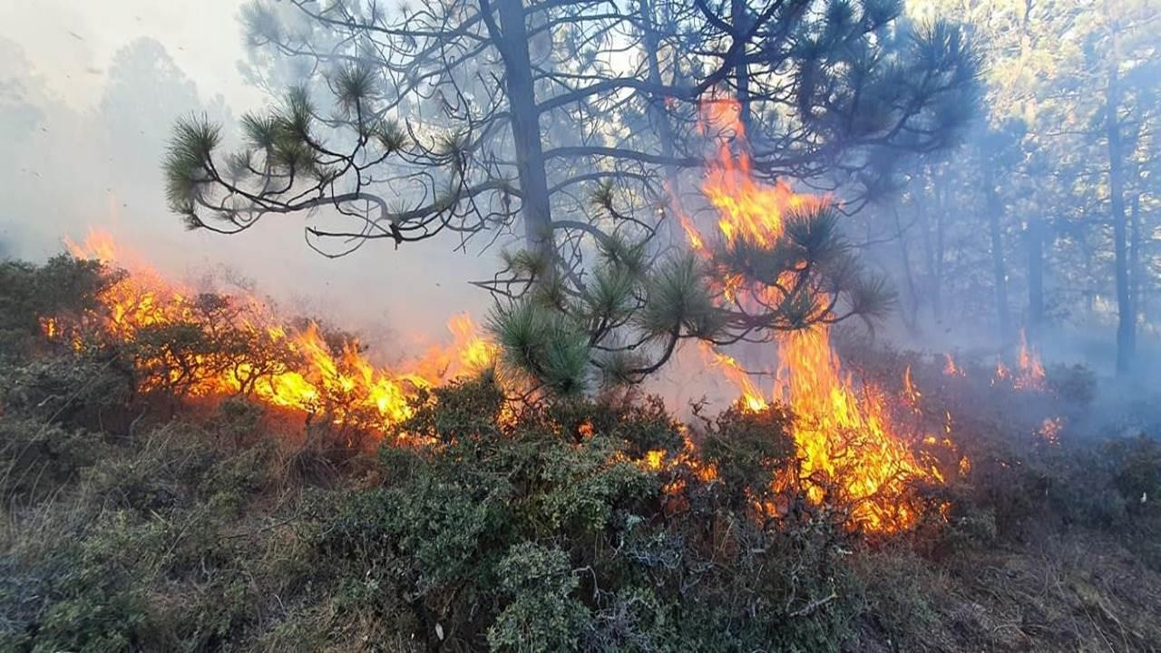 Ante sequía; NL prohíbe fogatas en campo para evitar incendios