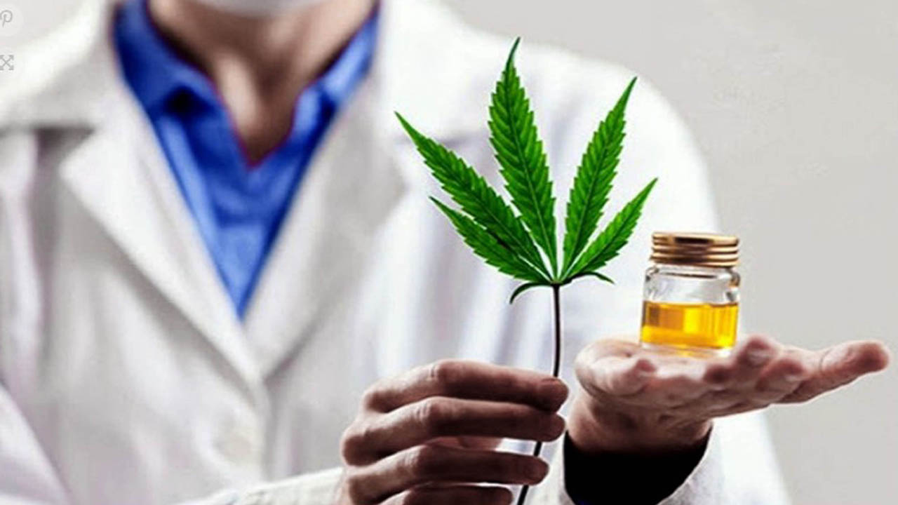 Formación sobre uso medicinal de cannabis con perspectiva científica integral