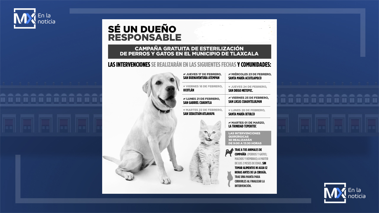 Esterilizarán perros y gatos en comunidades de Tlaxcala Capital