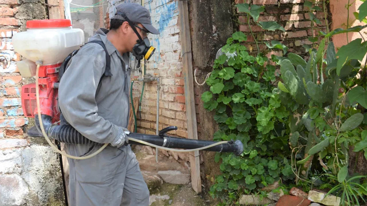 SSG informa visitas domiciliarias en varios municipios del Bajío para el combate al dengue