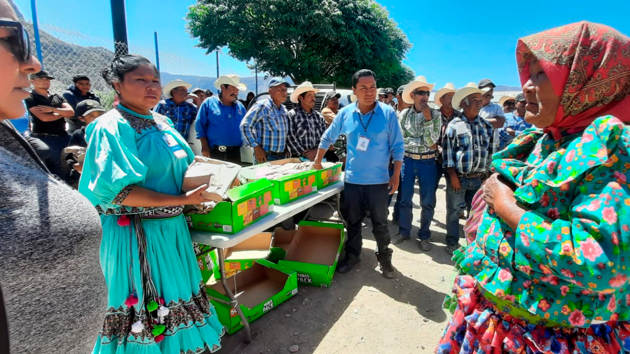 Otorga Estado de Chihuahua actas registrales, apoyos alimentarios y servicio médico a familias indígenas del municipio de Urique