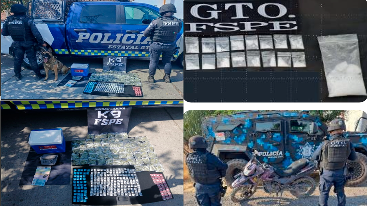 Corporaciones de seguridad Estatales, Federales y Municipales, sacan de las calles más de 5 mil 700  dosis de diversas drogas en el Estado de Guanajuato