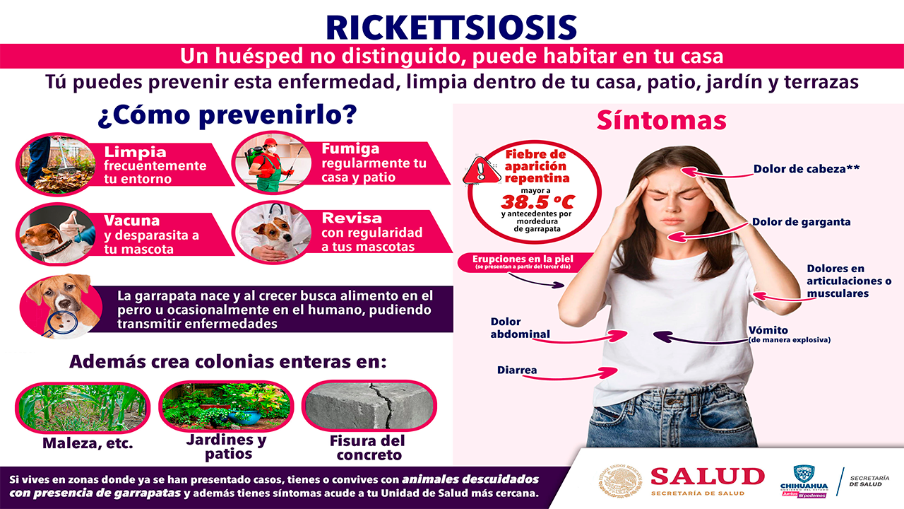 Promueve Secretaría de Salud acciones de prevención contra la rickettsiosis