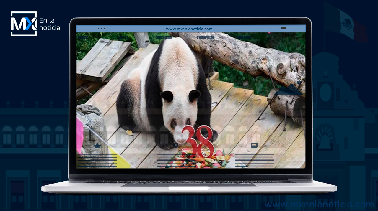 Sacrifican a An An, el panda más anciano del mundo en cautiverio