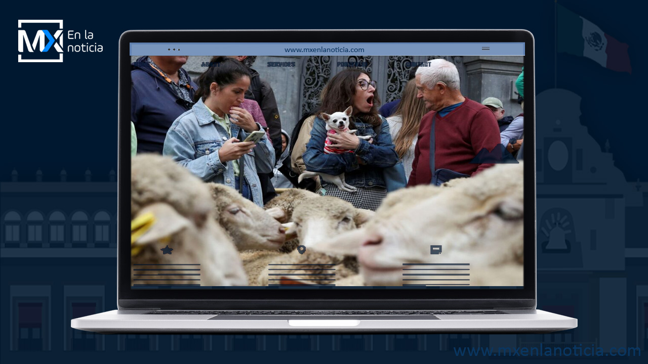 ¡Caos total! Miles de ovejas y cabras invaden las calles de Madrid