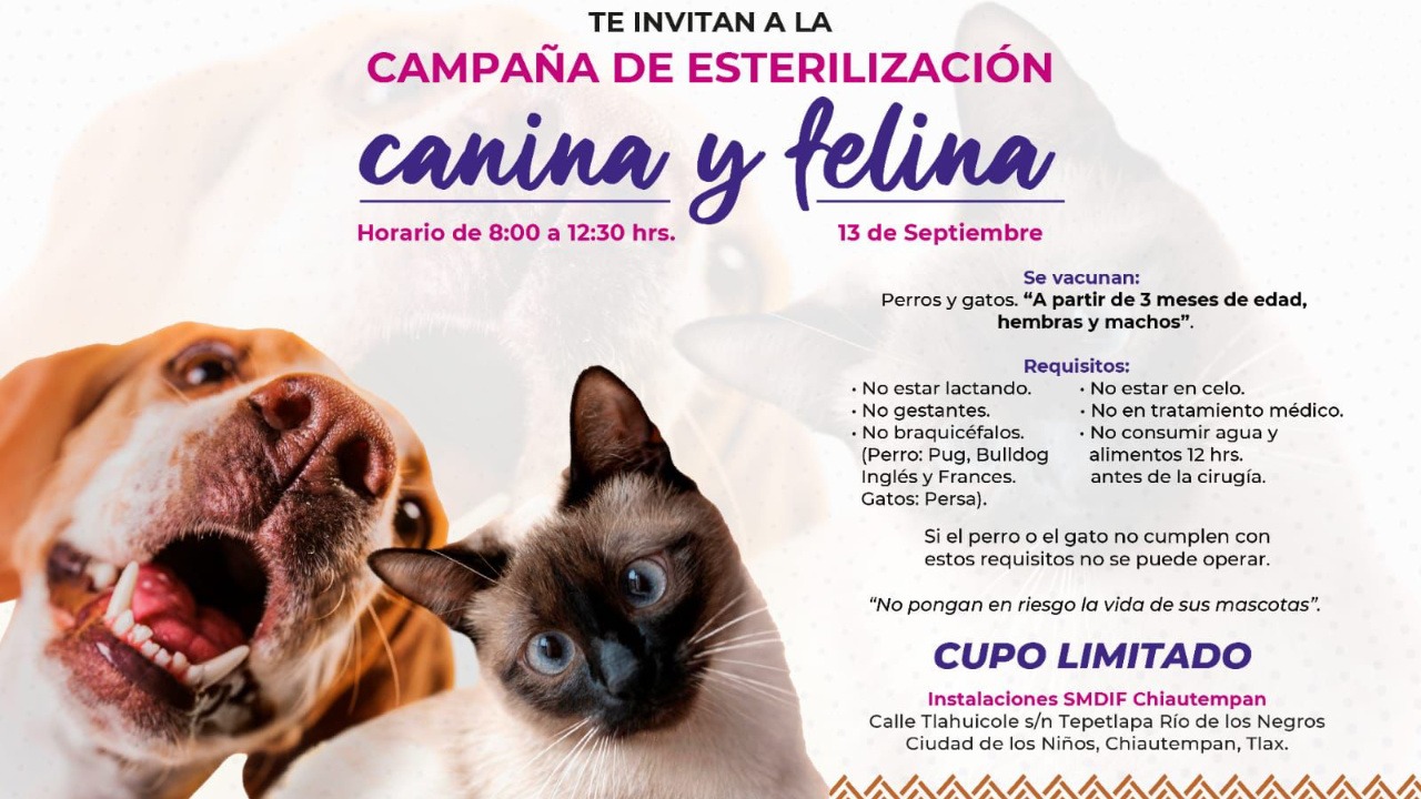 Invita SMDIF Chiautempan a campaña de esterilización y vacunación canina y felina