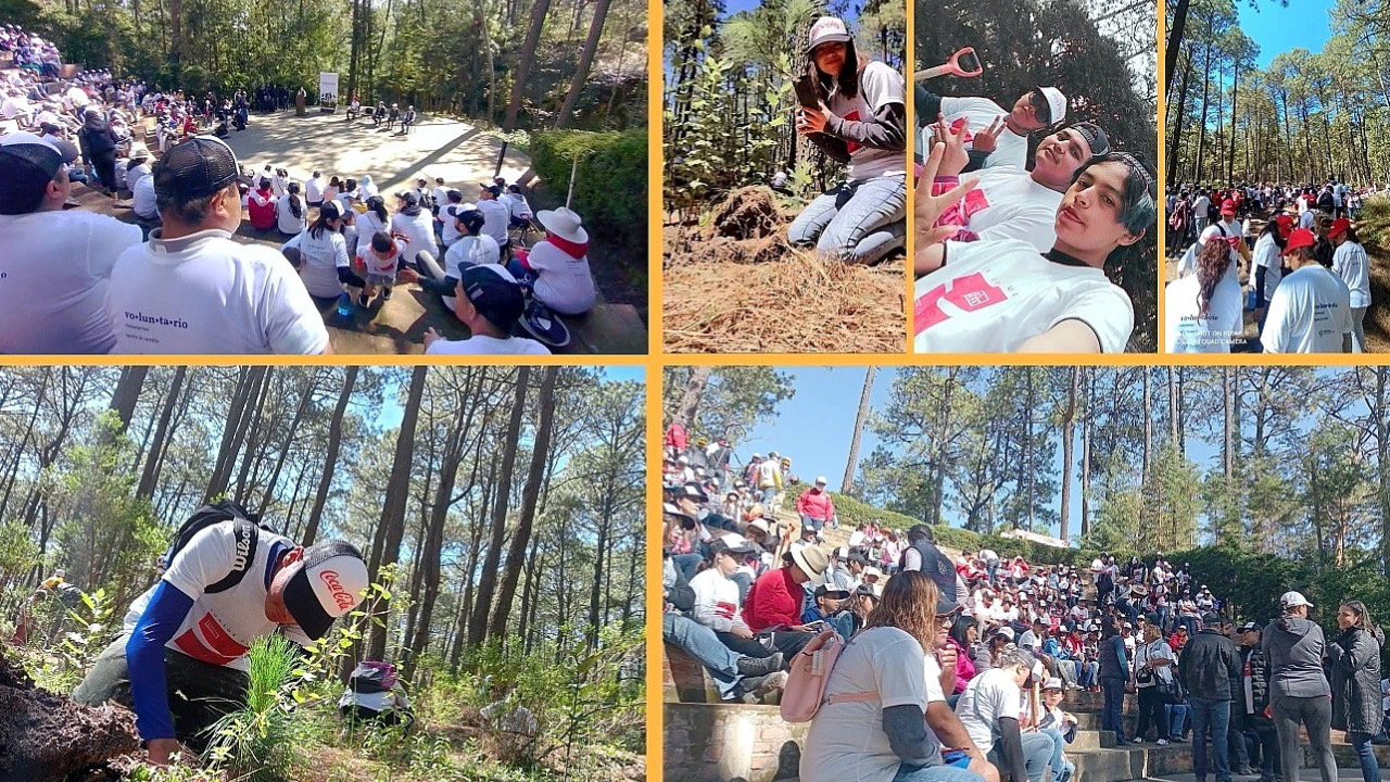 Colabora UATx en reforestación del Parque Nacional La Malinche