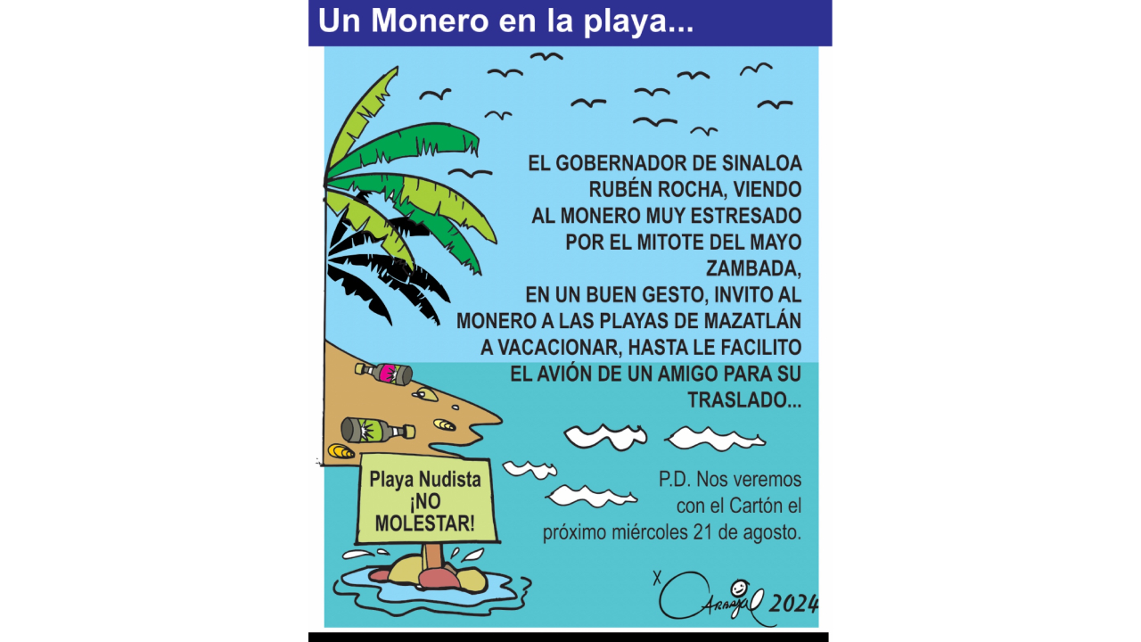 Un Monero en la playa