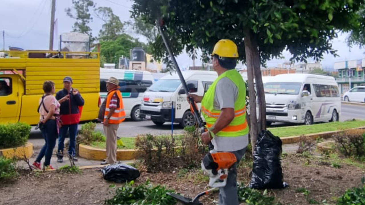 Medio ambiente, una de las prioridades de Blanca Angulo para Chiautempan