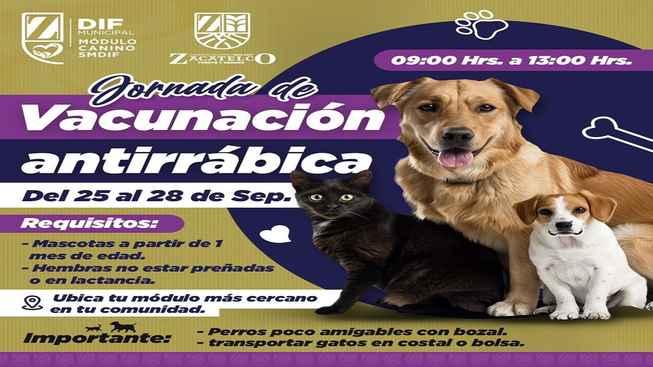 Gobierno Municipal de Zacatelco y SESA invita a la campaña de vacunación antirrábica.