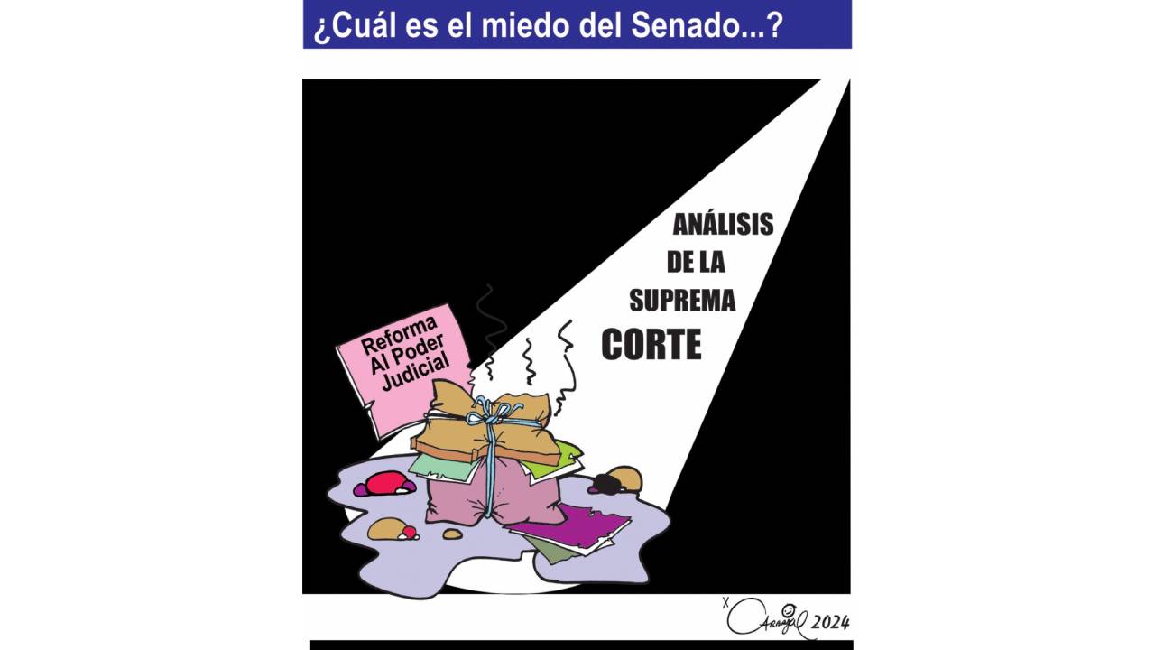 ¿Cuál es el miedo del senado...?