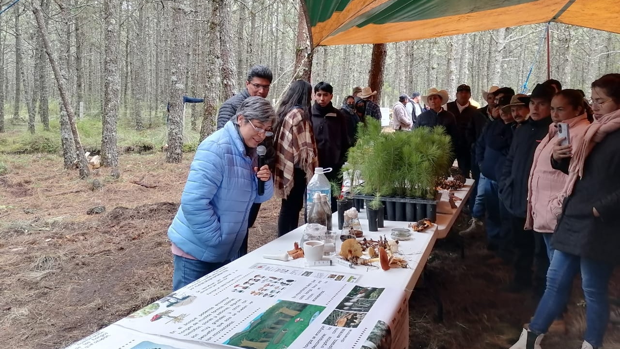 Afianzan vinculación con comunidades de Tlaxco investigadores de la UATx