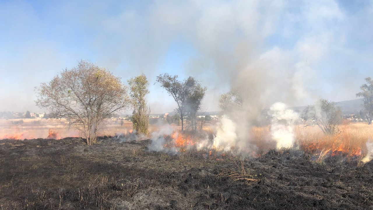 Protección Civil del Ayuntamiento de Tlaxcala atienden incendios de pastizales en Tlaxcala