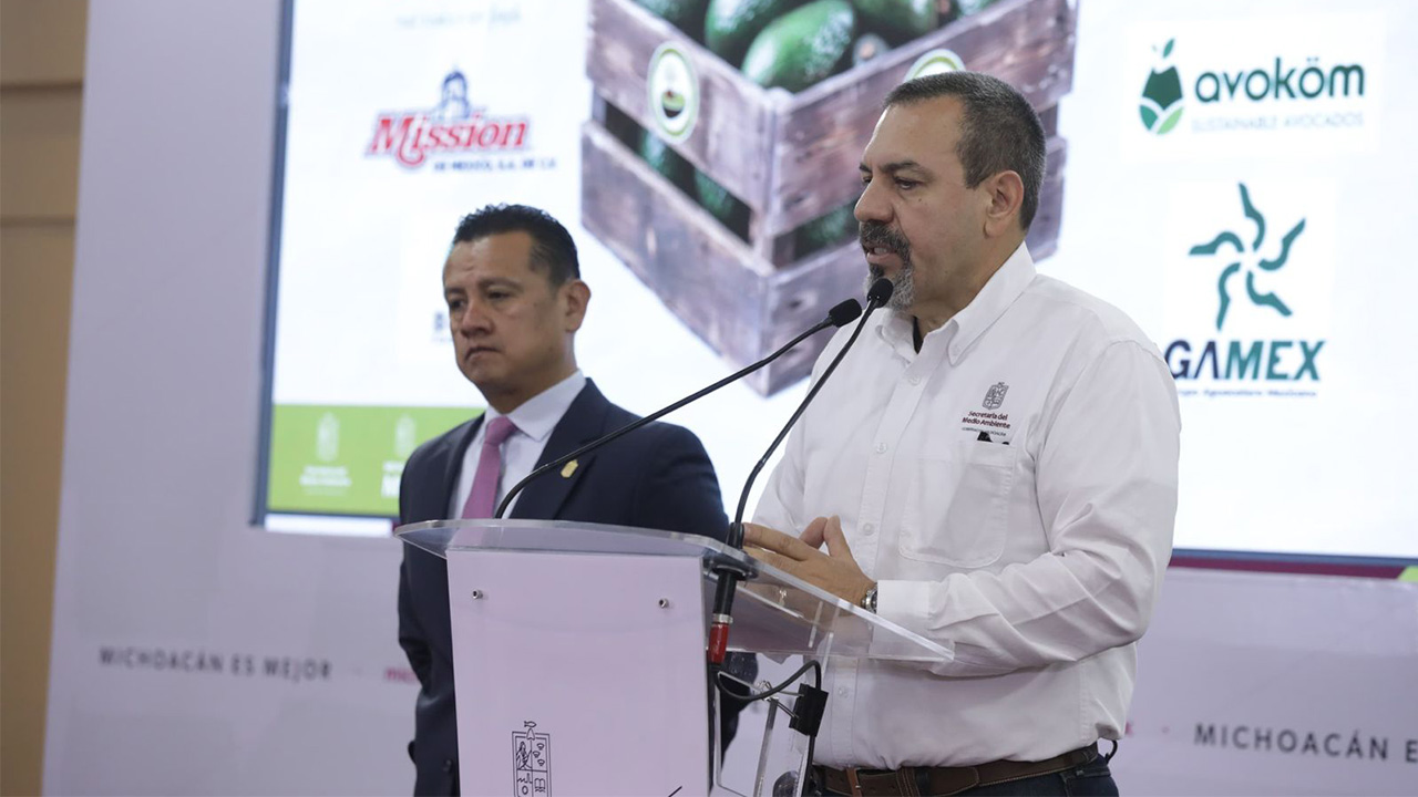 Tercera parte del aguacate para el Super Bowl está certificado