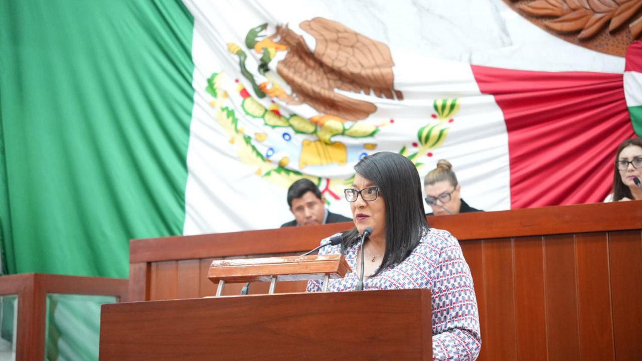 Garantizar el derecho al agua, propone la diputada Laura Flores