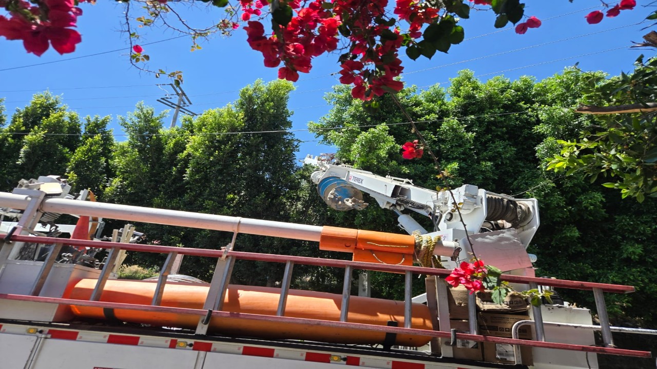 Realizan poda de árboles en Prolongación Porfirio Díaz para garantizar seguridad eléctrica