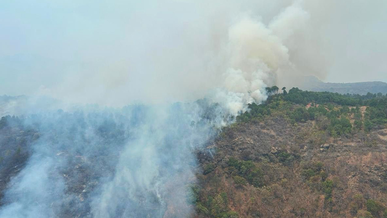 Brigadas continúan combatiendo incendio en Nocupétaro: Cofom