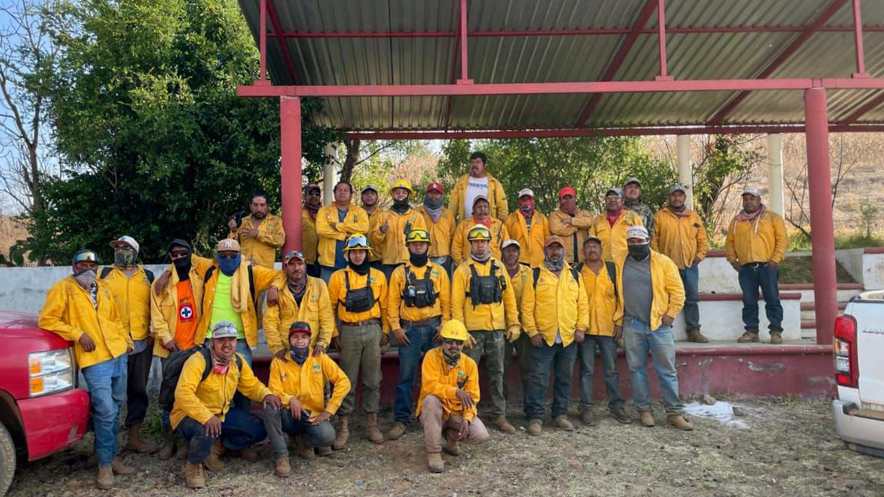 Brigadas forestales apagan 7 incendios: Cofom