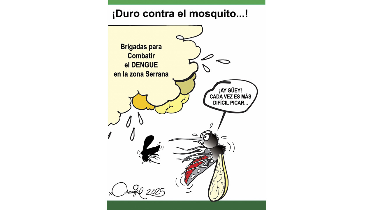 ¡Duro contra el mosquito...!