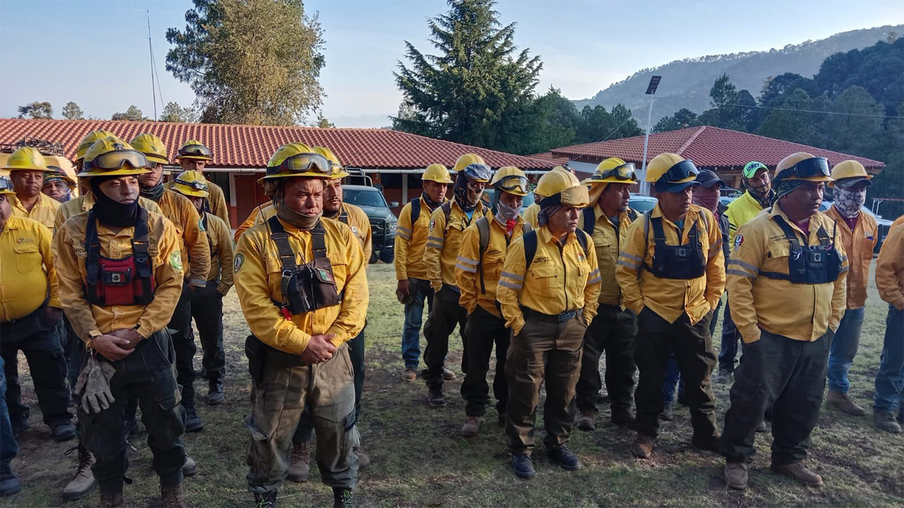 Brigadas forestales apagan cuatro incendios en Michoacán: Cofom