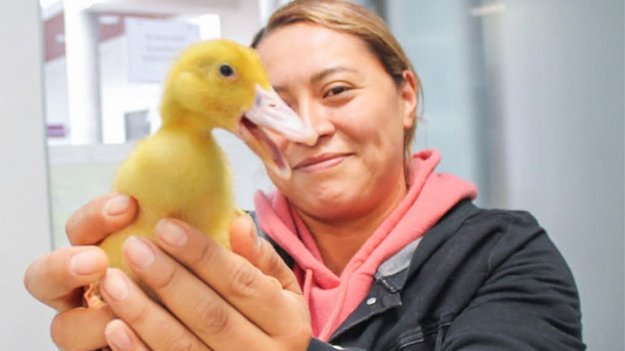 Fortalecen desarrollo productivo de comunidades en Chiautempan