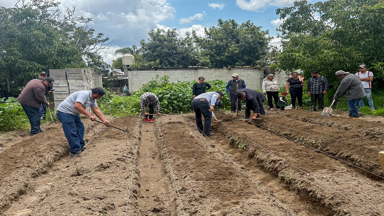 Chiautempan promueve producción local con huertos familiares