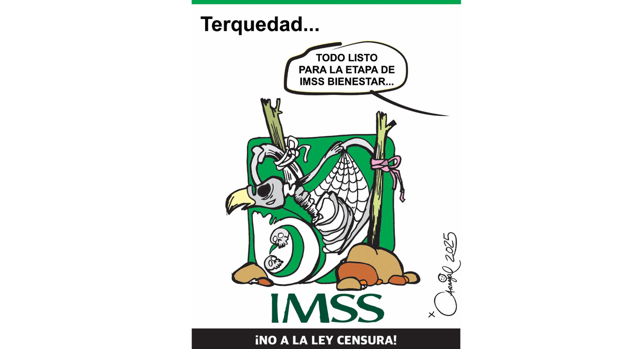 Terquedad...