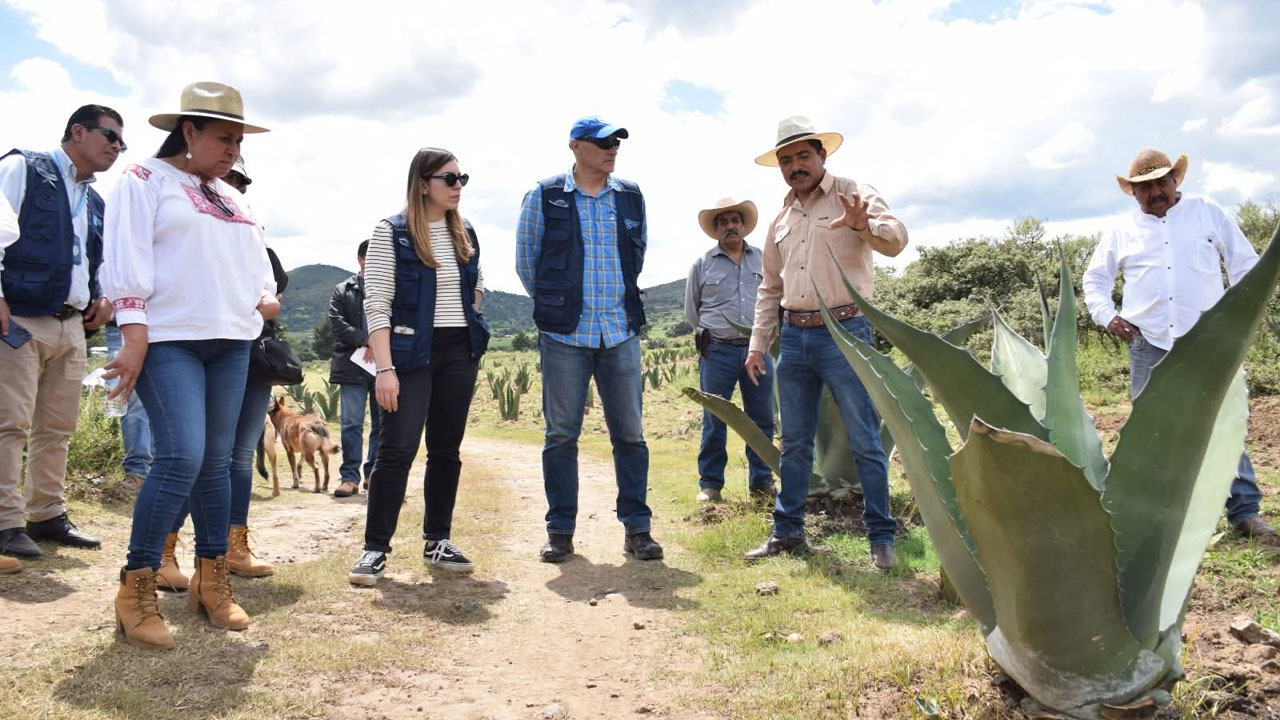 En visita a Tlaxcala, especialista de la FAO confirman riqueza del metepantle
