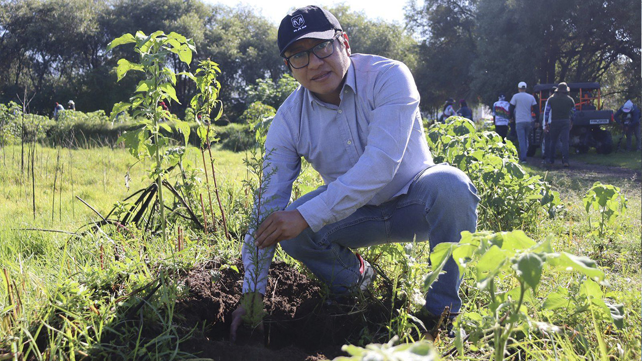 Reforestación en San Juan Totolac
