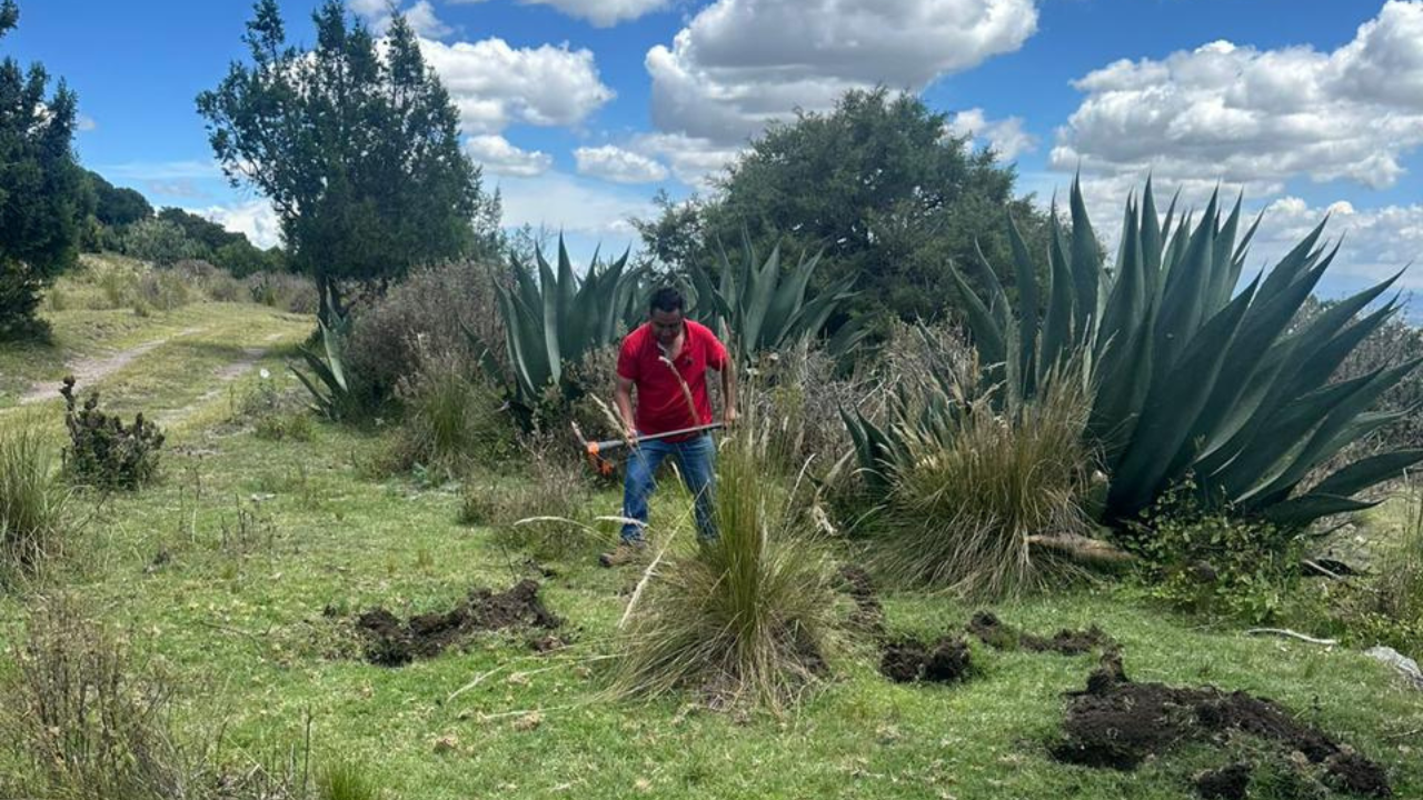 Inician reforestación en el Cerro de Xalapasco