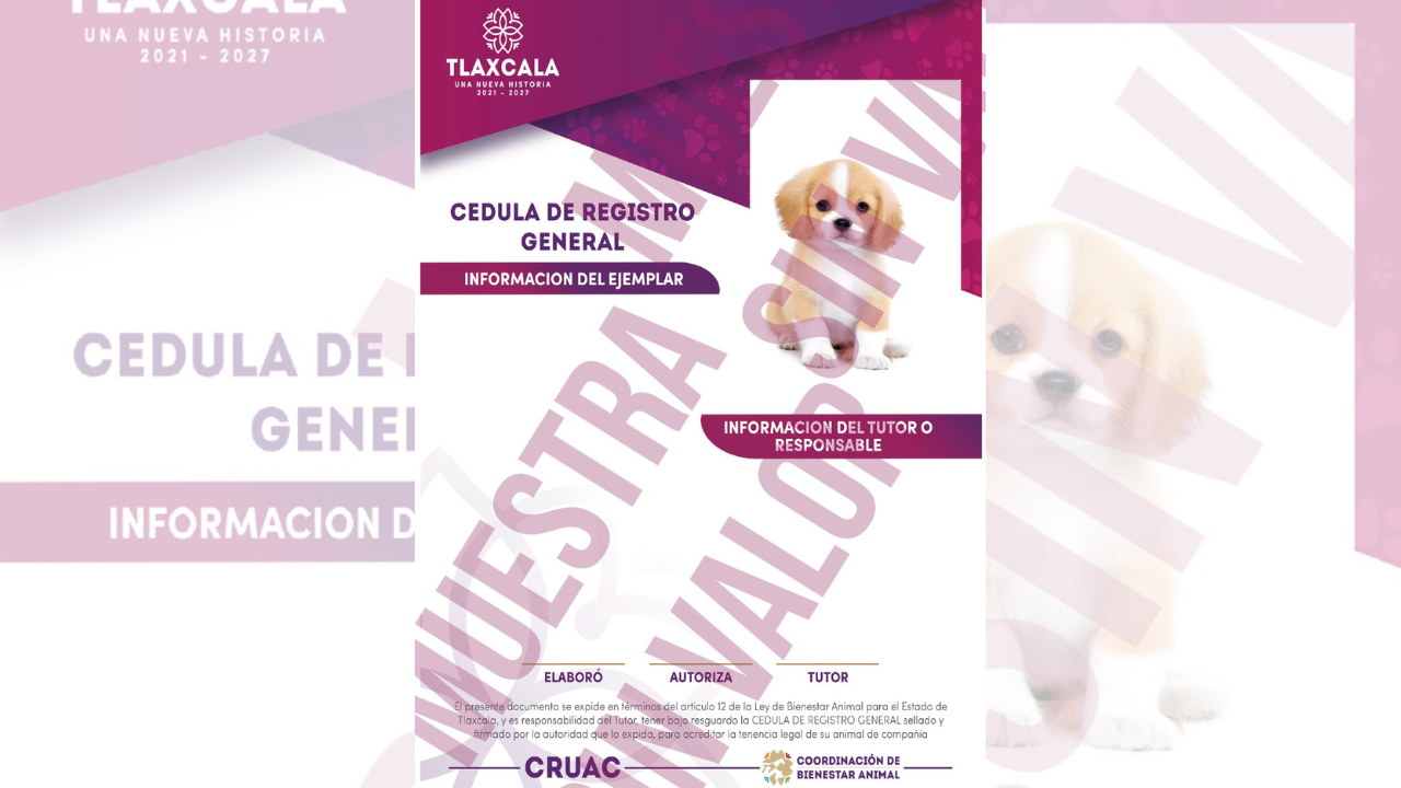 Ixtenco da inicio al Registro Municipal de Tenencia Responsable de Mascotas con apoyo del CRUAC