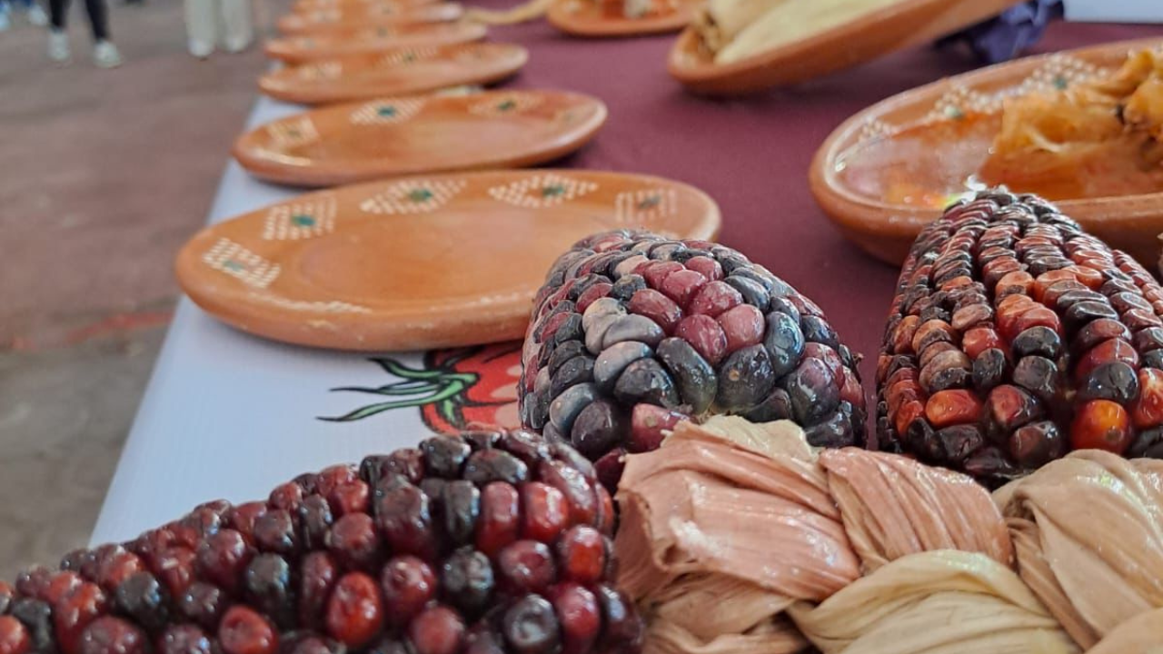 Ixtenco participa en la muestra gastronómica “500 años nutriendo con sabor” con el tradicional Mole de Matuma
