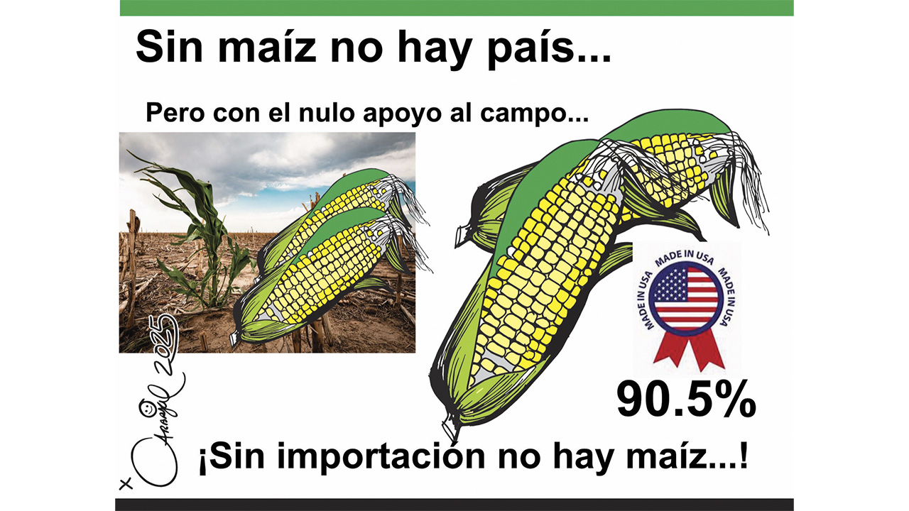 Sin maíz no hay país