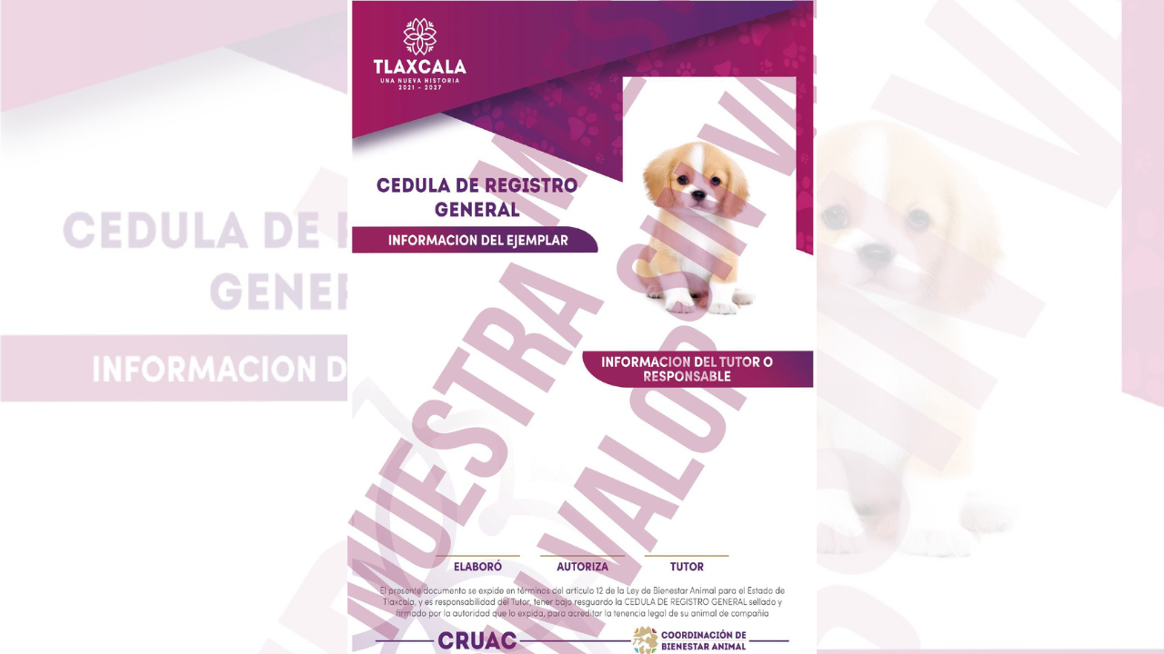 En Ixtenco, mascotas sin registro podrán ser retenidas y sus dueños multados