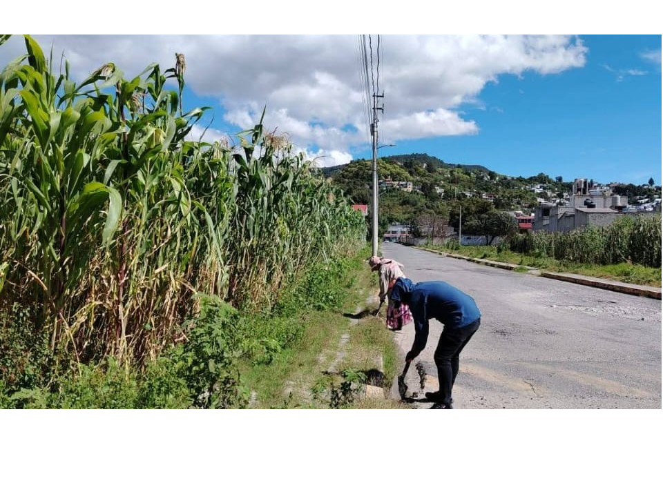 Brigada de servicios municipales trabaja por un totolac más limpio