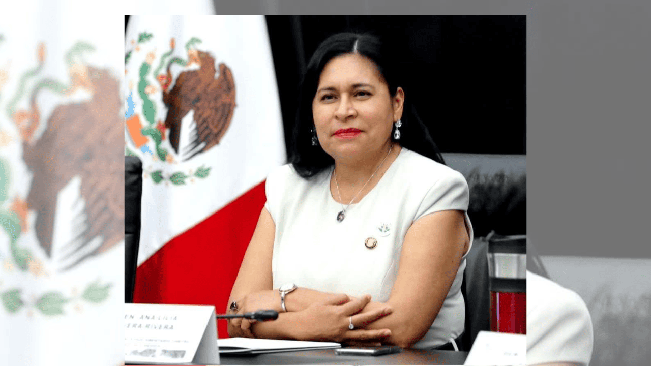 Ana Lilia Rivera es designada Coordinadora Adjunta de la Comisión Coordinadora Ejecutiva del FPH-ALC