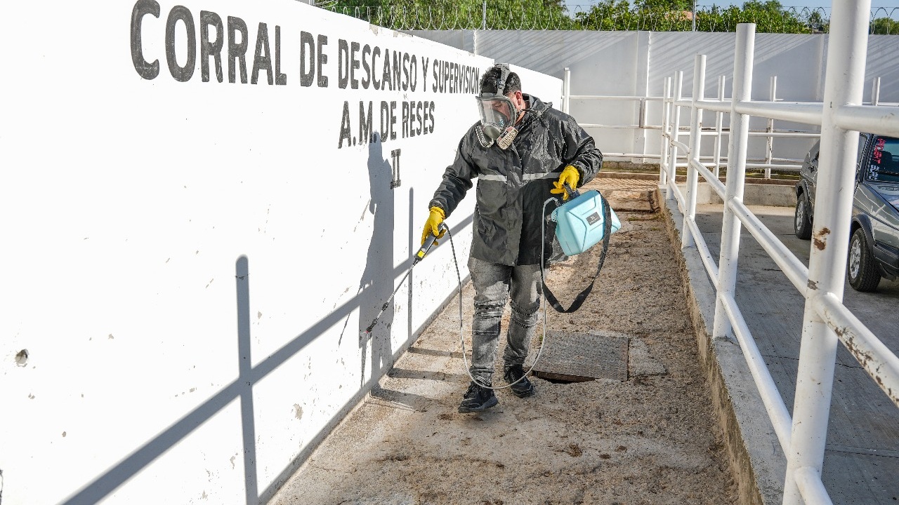 Ayuntamiento de Tlaxcala procura instalaciones saludables en el rastro municipal con fumigaciones