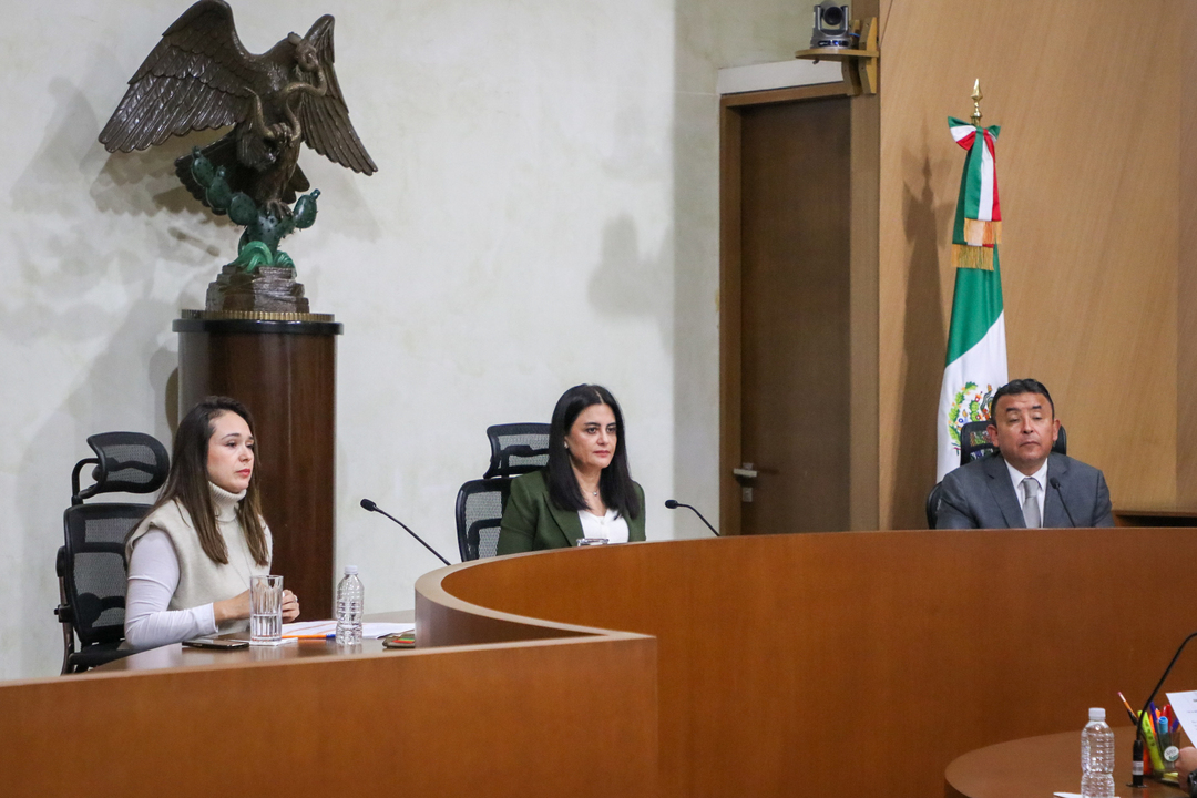 La SRCDMX revoca la resolución del TECDMX relacionada con la  convocatoria del PRI para la renovación de su dirigencia estatal